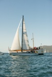 windthrift 9602y whyw22 sun 800_2325yi